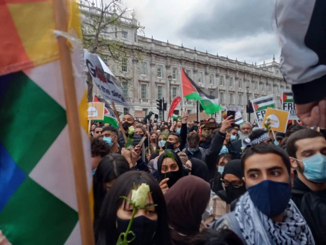 Londra'da Filistin i&ccedil;in acil &ccedil;ağrı