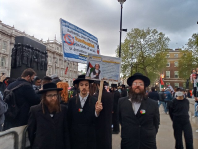 Londra'da Filistin i&ccedil;in acil &ccedil;ağrı