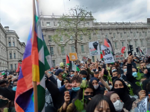 Londra'da Filistin i&ccedil;in acil &ccedil;ağrı