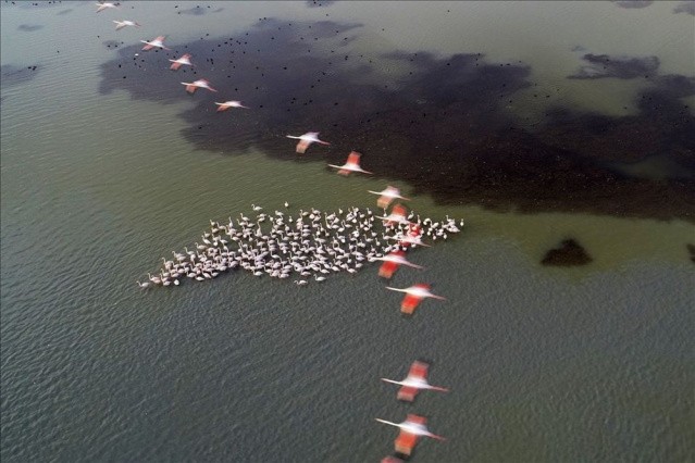 Haftanın Fotoğrafları