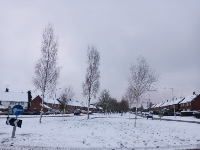 Londra'ya ilk kar d&uuml;şt&uuml;...