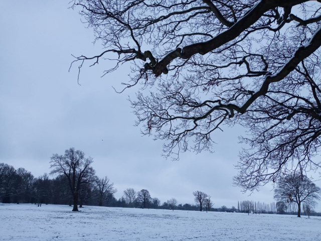 Londra'ya ilk kar d&uuml;şt&uuml;...