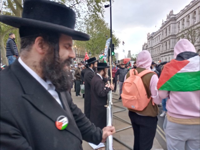 Londra'da Filistin i&ccedil;in acil &ccedil;ağrı