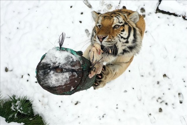 Haftanın Fotoğrafları