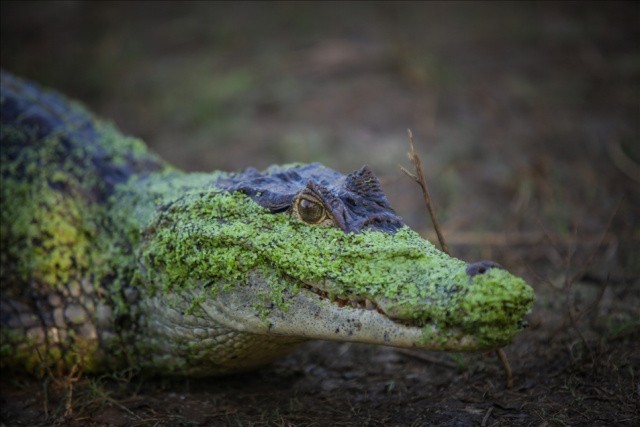 Haftanın Fotoğrafları