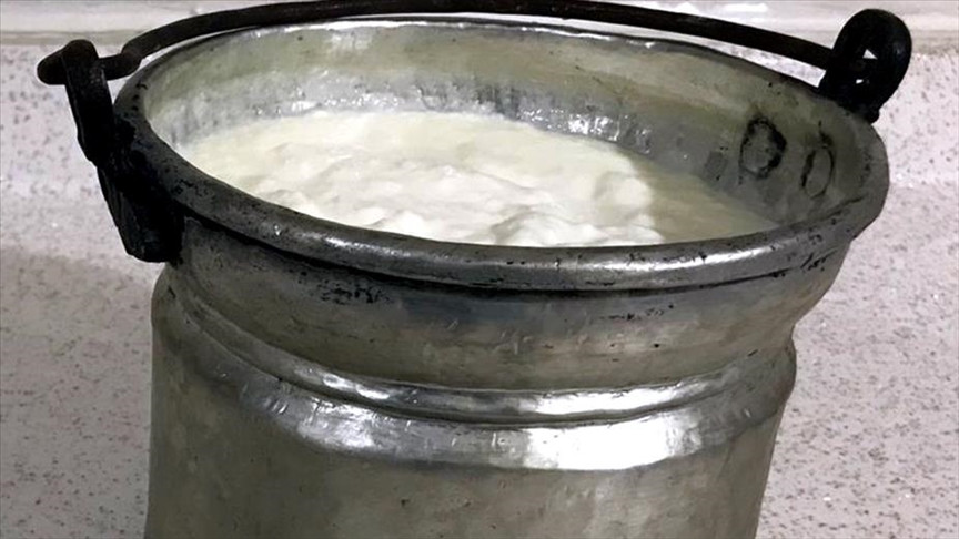 3 bin 500 yıllık mumyalarda kefir peynirinin izlerine rastladı