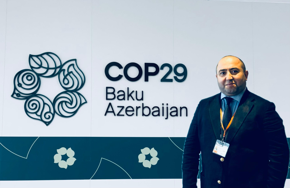 Agil Alesger: Azerbaijan organized and held COP29 at the highest level