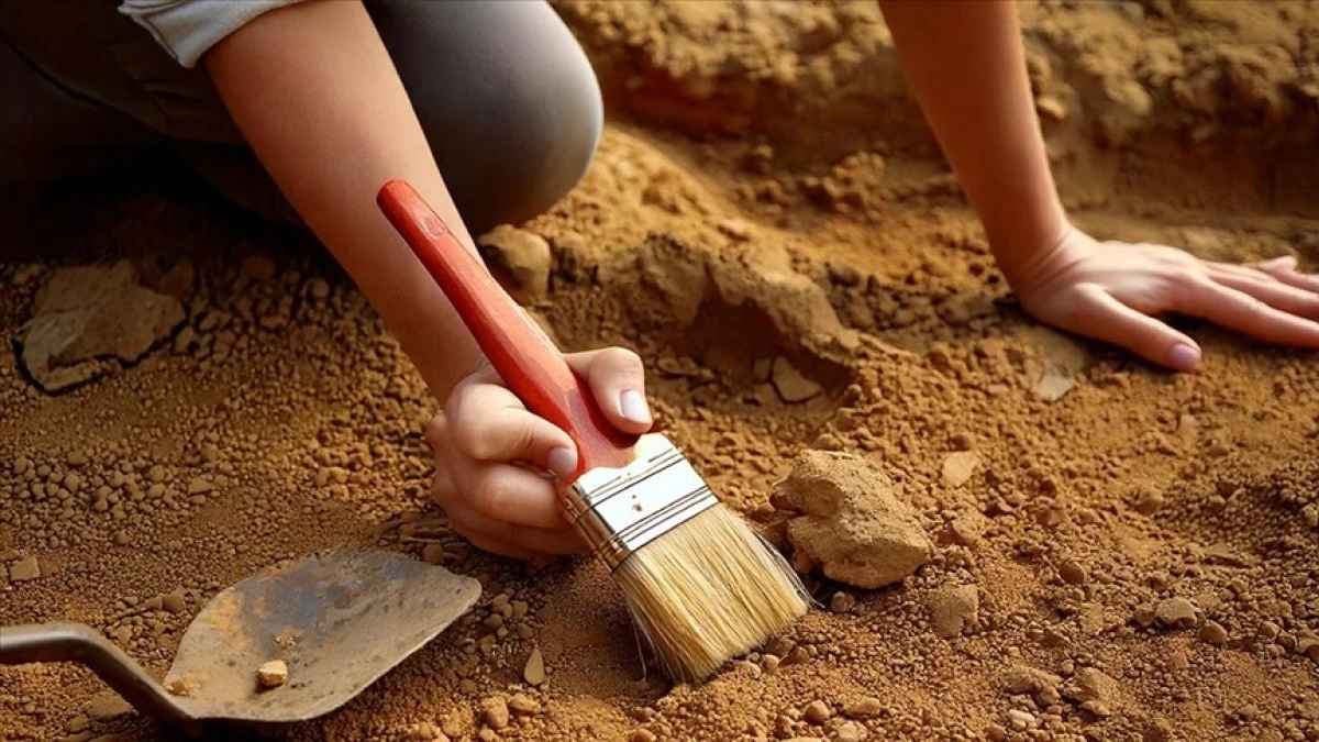 &Ccedil;in&rsquo;in Sı&ccedil;uan Eyaletinde 200 Milyon Yıllık Dinozor İzleri Bulundu
