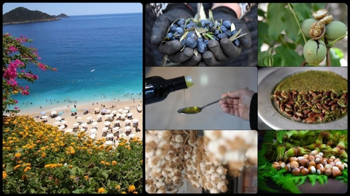 Coğrafi işaret başvurusunda Antalya, tescilinde Hatay zirvede yer aldı