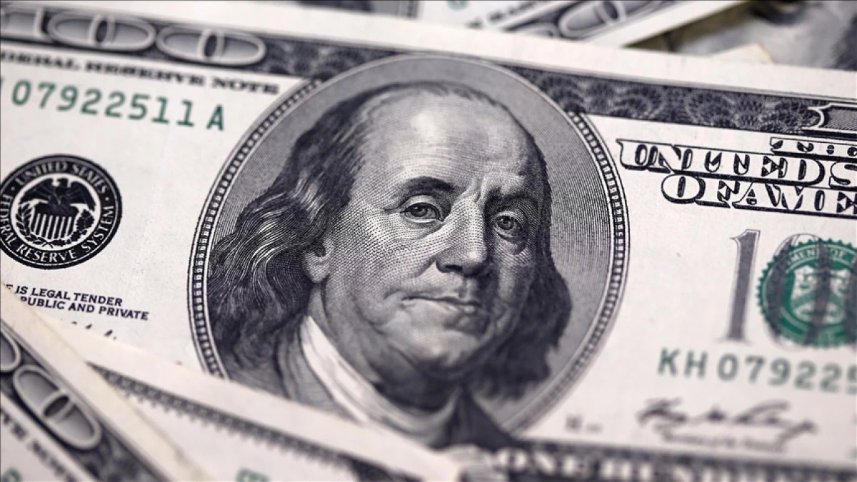 Finansal kesim dışındaki firmaların net d&ouml;viz a&ccedil;ığı kasımda arttı