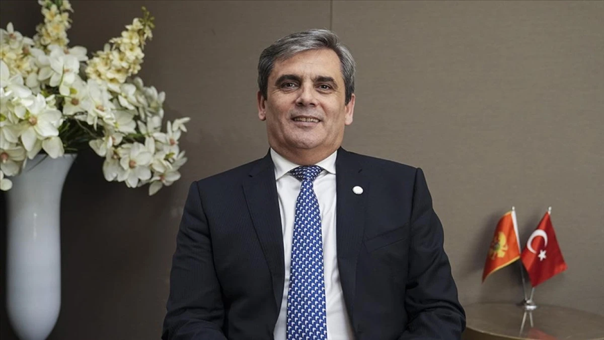 İbrahimovic, T&uuml;rkiye'nin k&uuml;resel barışın sağlanmasında oynadığı rol&uuml; &ouml;vd&uuml;