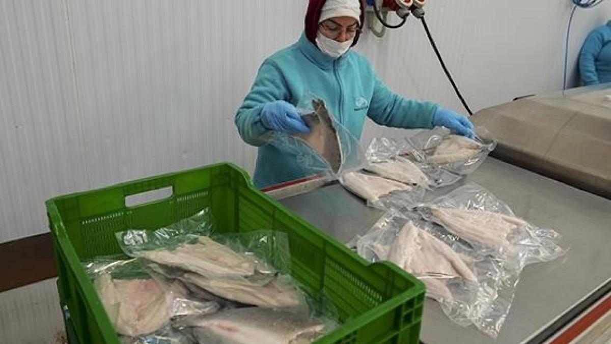 Karadeniz'in su &uuml;r&uuml;nleri ihracatı ge&ccedil;en yıl 400 milyon doları aştı