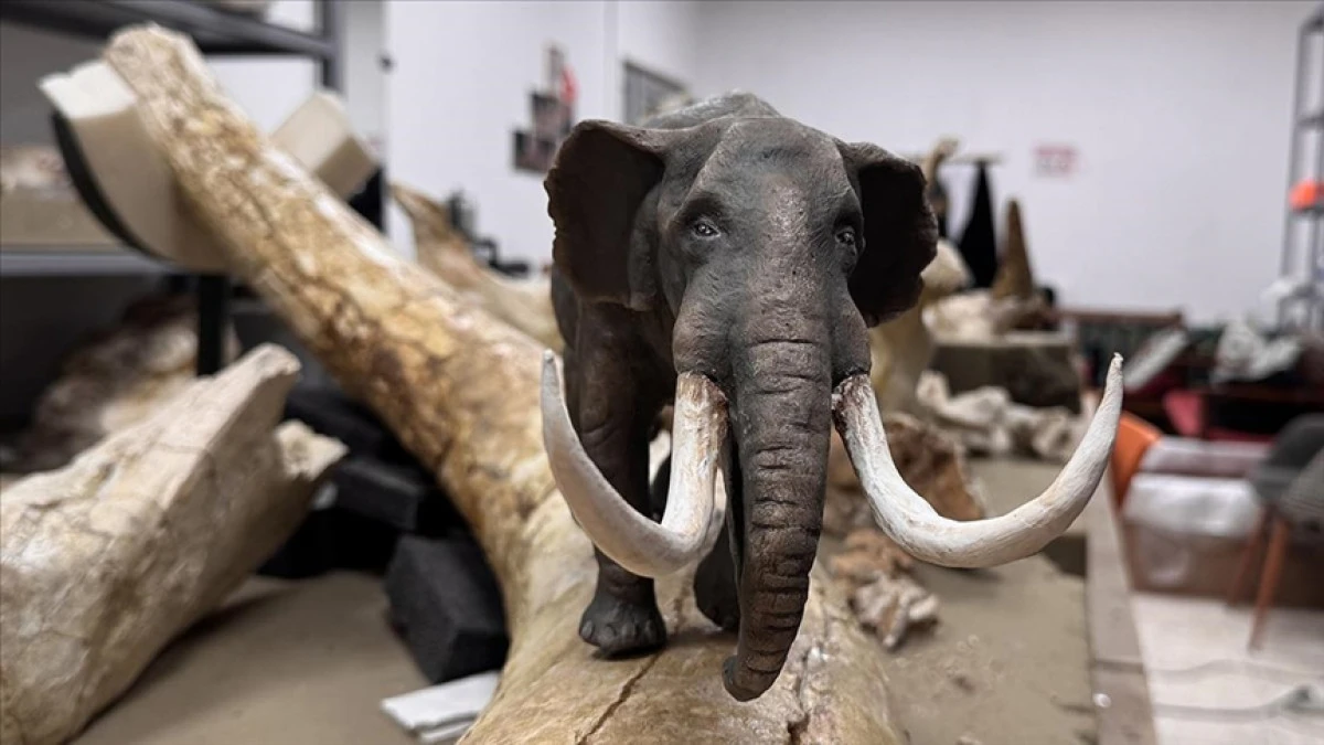 Kayseri'de bulunan dev hayvan fosillerinin minyat&uuml;rleri yapılıyor