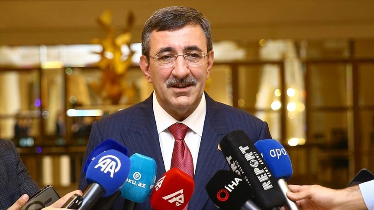 Turkish vice president highlights strategic role of Turkic bloc amid global uncertainty