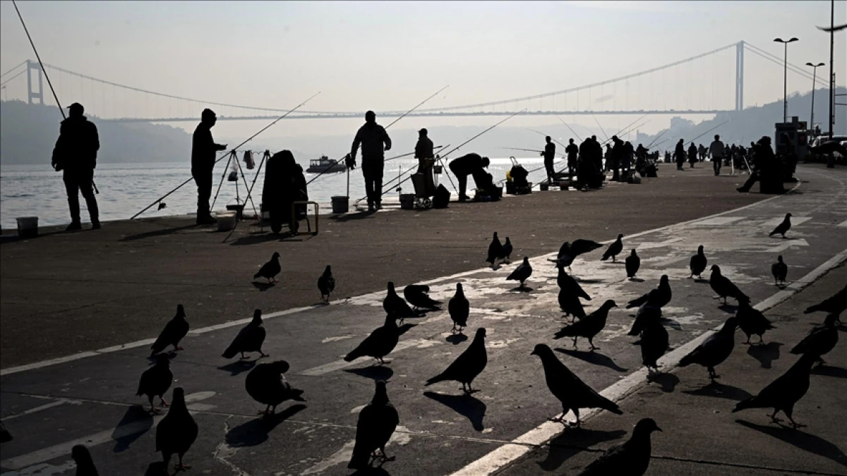 T&uuml;rkiye could attract up to $30B in investments per year: Sector representative