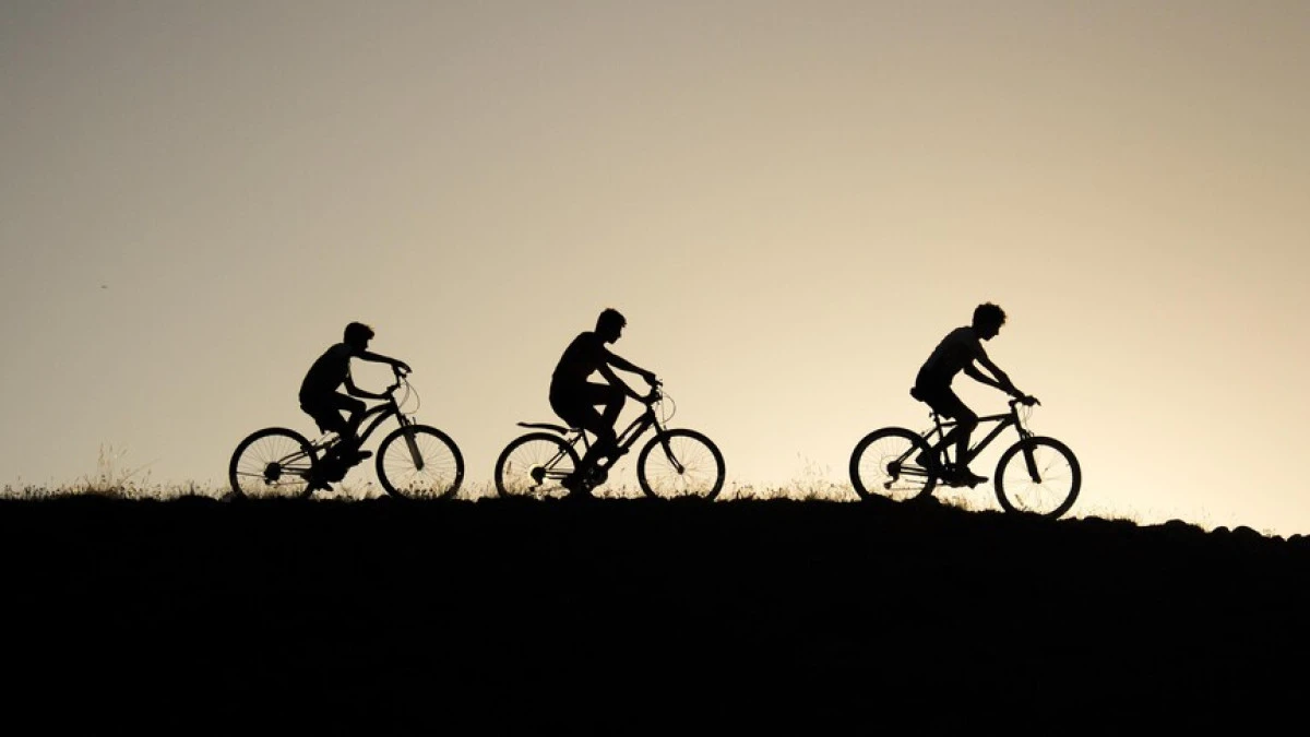 T&uuml;rkiye n&uuml;fusunun y&uuml;zde 24,8'i &ccedil;ocuk       