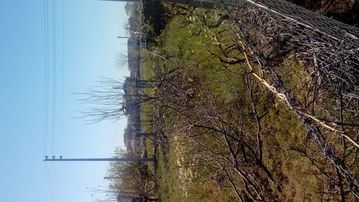 Satılık arsa bah&ccedil;e